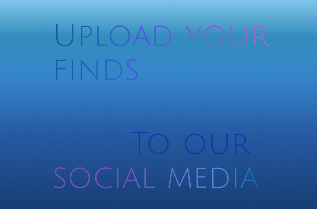 Update your finds and share them on social media